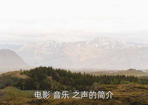 音樂之聲音樂劇,音樂之聲改編自《特拉普家庭合唱團(tuán)》