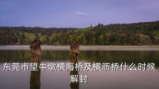 東莞市望牛墩橫海橋及橫瀝橋什么時候解封