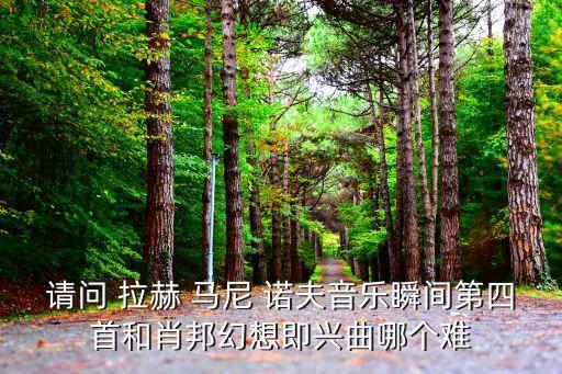 拉赫馬尼諾夫,肖邦第八首作曲風(fēng)格比拉赫更容易被接受