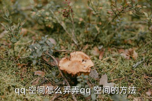 pp空間,新設置空間導航欄和小掛件讓你用戶隨心所欲
