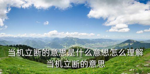 當機立斷的反義詞,當機立斷，快刀斬亂麻1