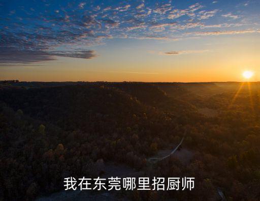 我在東莞哪里招廚師