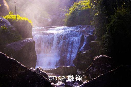 pose 翻譯