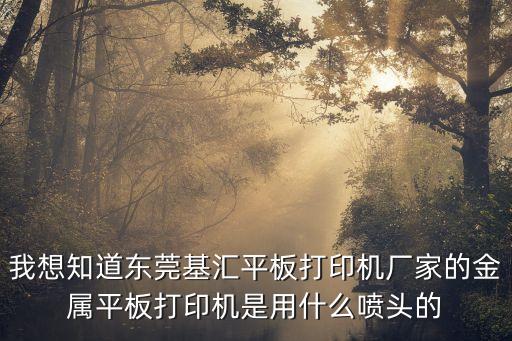 東莞抗老化uv噸包，我想知道東莞基匯平板打印機廠家的金屬平板打印機是用什么噴頭的