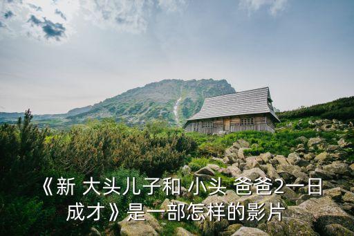 大頭兒子小頭爸爸第二部
