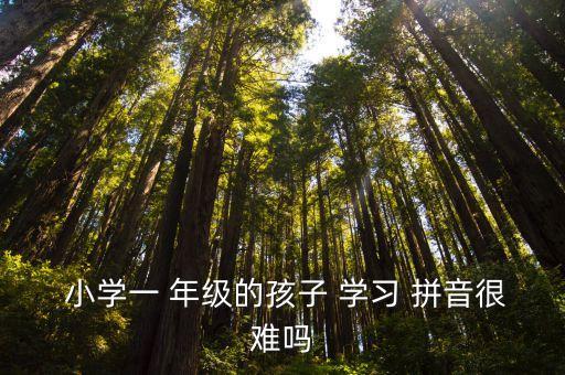  小學一 年級的孩子 學習 拼音很難嗎