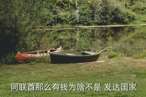 阿聯(lián)酋是發(fā)達(dá)國家嗎
