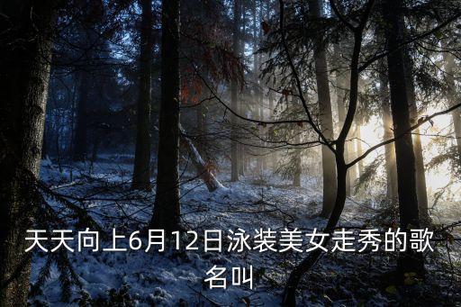 天天向上6月12日泳裝美女走秀的歌名叫