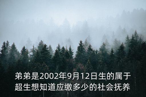 社會(huì)撫養(yǎng)費(fèi)，弟弟是2002年9月12日生的屬于超生想知道應(yīng)繳多少的社會(huì)撫養(yǎng)