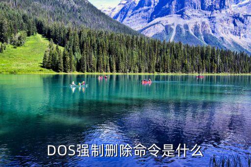 DOS強制刪除命令是什么