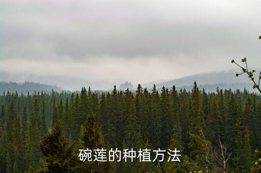 碗蓮的種植方法