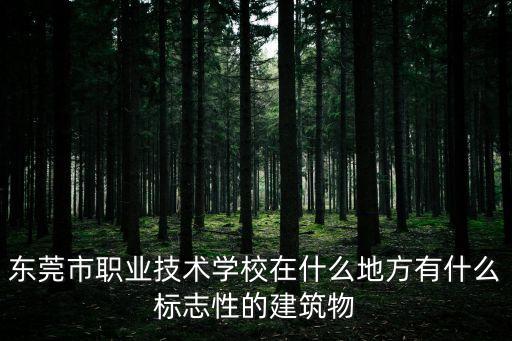 東莞市職業(yè)技術學校在什么地方有什么標志性的建筑物