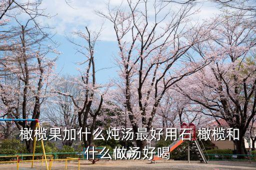 石橄欖燉湯的做法,石頭橄欖排骨湯
