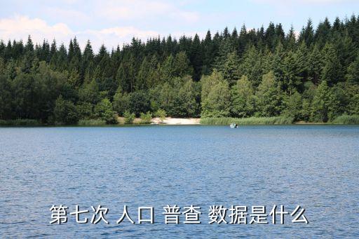 第七次 人口 普查 數據是什么