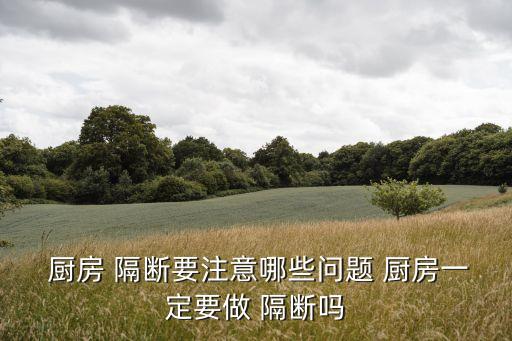廚房隔斷,廚房和客廳隔斷玻璃推拉門通透性佳