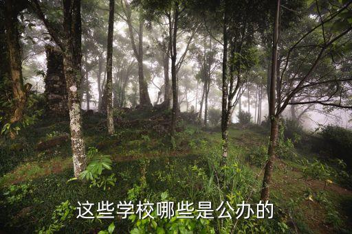 這些學校哪些是公辦的