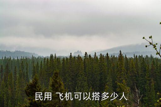  民用 飛機(jī)可以搭多少人