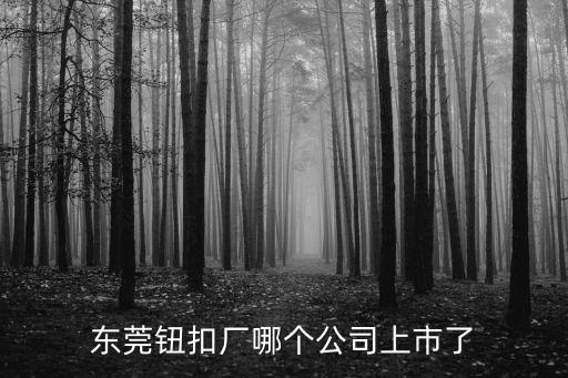 東莞鈕扣廠哪個公司上市了