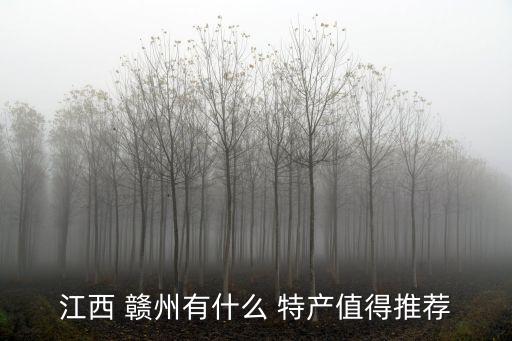 江西 贛州有什么 特產值得推薦