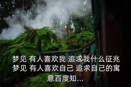 夢見有人追求我,本命年夢見有人追求我的寓意