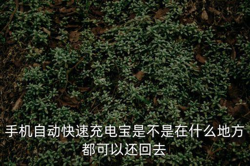 怎么還共享充電寶，共享充電寶計(jì)費(fèi)方式