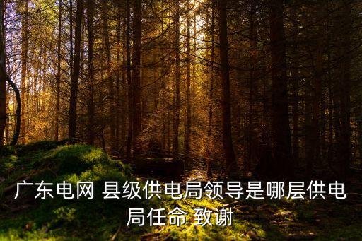 廣東電網 縣級供電局領導是哪層供電局任命 致謝