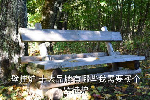  壁掛爐 十大品牌有哪些我需要買個 壁掛爐