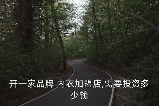 開一家品牌 內衣加盟店,需要投資多少錢