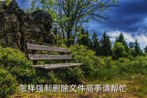 強(qiáng)制刪除，怎樣強(qiáng)制刪除文件高手請幫忙