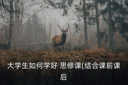 大學(xué)生如何學(xué)好 思修課(結(jié)合課前課后