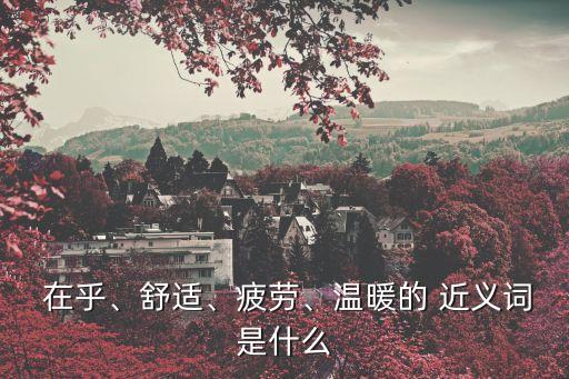  在乎、舒適、疲勞、溫暖的 近義詞是什么