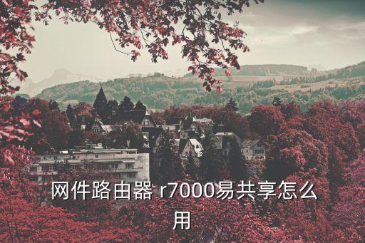  網件路由器 r7000易共享怎么用
