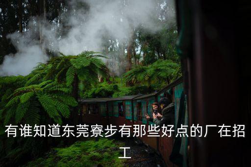 東莞寮步菱一精工怎么樣，有誰知道東莞寮步有那些好點的廠在招工
