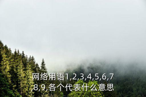 8是什么意思,審判日倒數游戲打字不能超過8個字