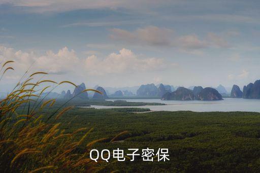 QQ電子密保