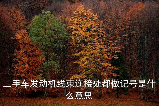 二手車發動機線束連接處都做記號是什么意思