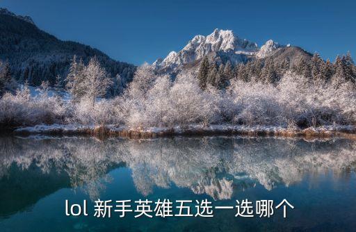  lol 新手英雄五選一選哪個