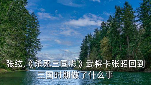 張昭張纮,《殺死三國志》武將卡張昭回到三國時期做了什么事?