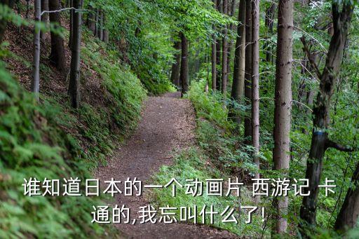 誰知道日本的一個動畫片 西游記 卡通的,我忘叫什么了!