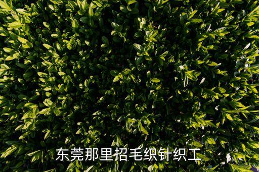 東莞那里招毛織針織工
