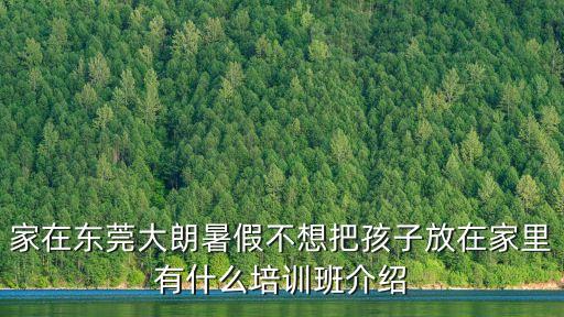 東莞暑假幼兒封閉式培訓(xùn)，東莞樂之教育有沒有暑期輔導(dǎo)班