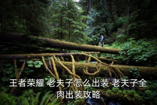 老夫子技能,老夫子被動技能介紹一下