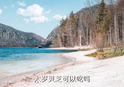 太歲靈芝，太歲肉靈芝有什么作用和用途