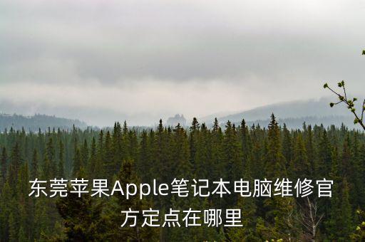 東莞蘋果維修網址，東莞蘋果維修點在哪