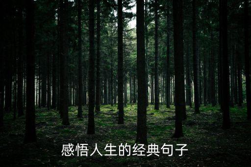 很現實的人生感悟說說，最實在的十句經典人生感悟 你喜歡那一句