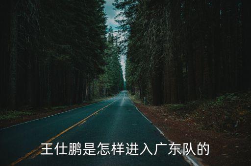 王仕鵬是怎樣進入廣東隊的