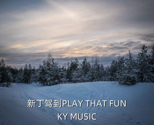 新丁駕到，新丁駕到PLAY THAT FUNKY MUSIC