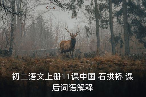 中國石拱橋課后題,石拱橋知多少?看看這里!
