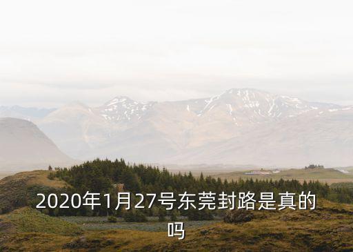 2020年1月27號東莞封路是真的嗎