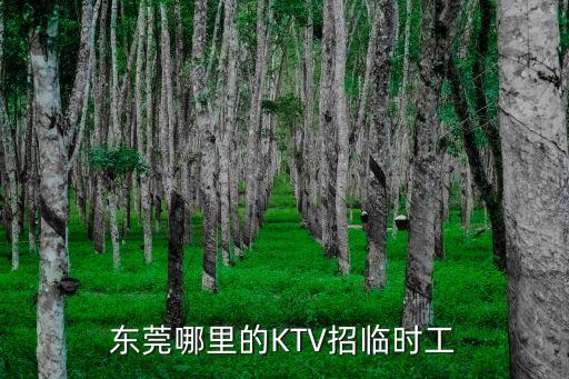 東莞ktv招聘威Mhfqjwl作詞，廣東東莞KTV哪里有要應聘人員的